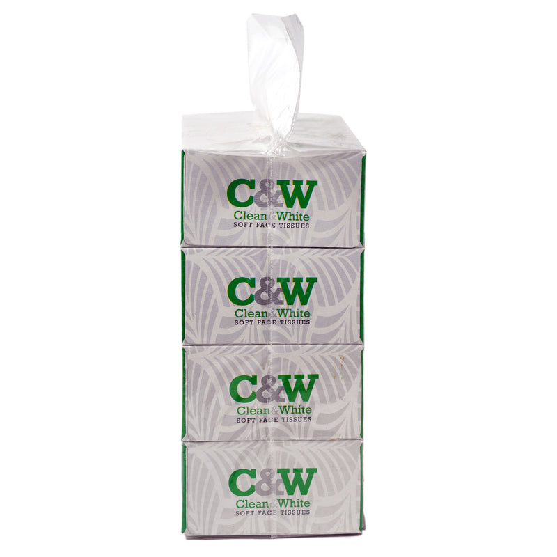 C&W Facial Tissue  2ply 100 Pulls  per pack (Pack of 4)