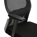 WorkStore Ergonomic Chair with Mesh Back Support, Black