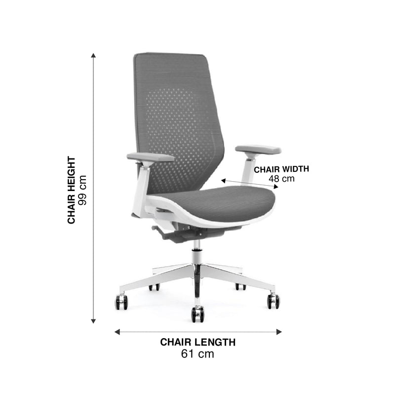 WorkStore Solace Executive Chair, Mid-Back with Nylon Backrest & Seat with Korean Mesh