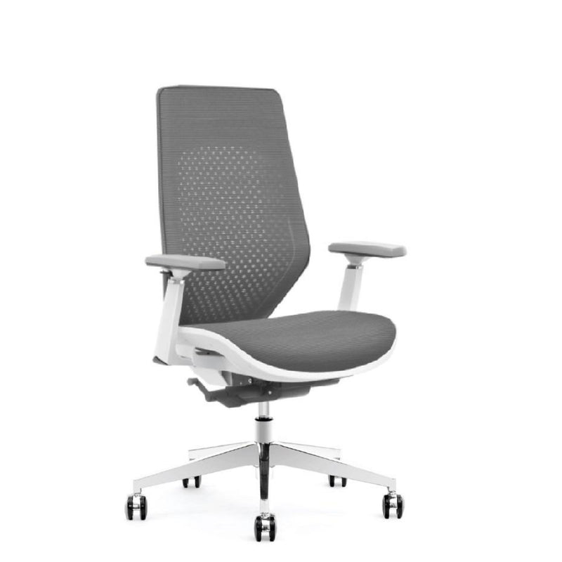 WorkStore Solace Executive Chair, Mid-Back with Nylon Backrest & Seat with Korean Mesh