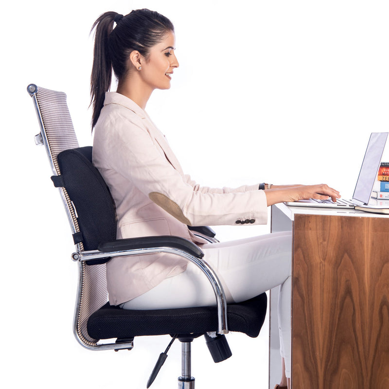 Fovera Memory Foam Lumbar Support for Office Chair