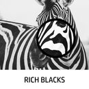 HP 802, Ink Cartridge, Black, CH563ZZ